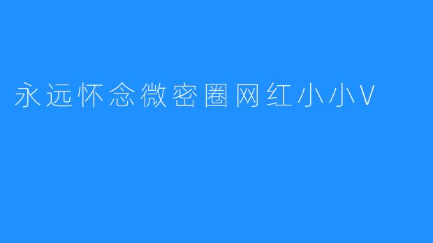 永远怀念微密圈网红小小V