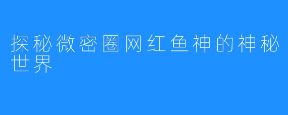 探秘微密圈网红鱼神的神秘世界