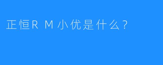 正恒RM小优是什么？