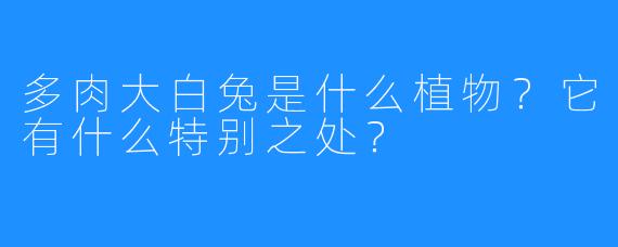多肉大白兔是什么植物?它有什么特别之处?