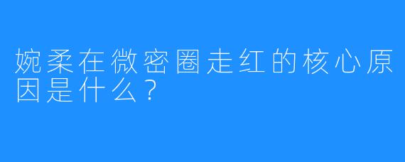 婉柔在微密圈走红的核心原因是什么?