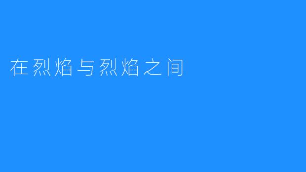 在烈焰与烈焰之间
