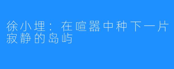 徐小埋：在喧嚣中种下一片寂静的岛屿